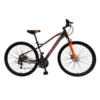 BICICLETA BACCIO ALPINA X MAN R29