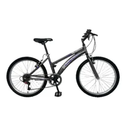 BICICLETA BACCIO ALPINA LADY ROD 26