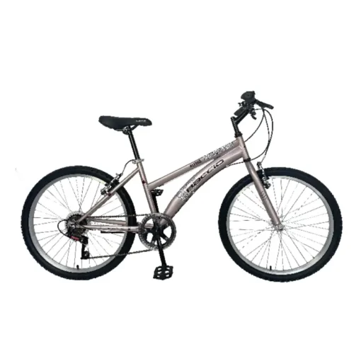 BICICLETA BACCIO ALPINA LADY ROD 26