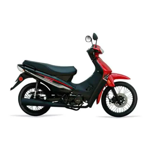 MOTOCICLETA BACCIO P110X