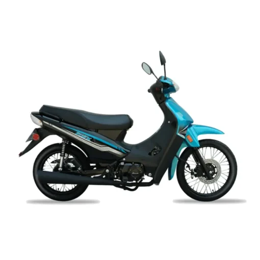 MOTOCICLETA BACCIO P110X