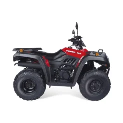 CUATRICICLO YUMBO 4TRACK 250 T