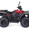 CUATRICICLO YUMBO 4TRACK 250 T