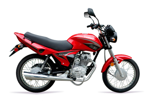 MOTOCICLETA YUMBO GS 125 S