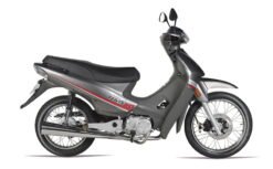 MOTO YUMBO MAX 110