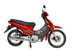 MOTO YUMBO MAX 110