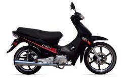 MOTO YUMBO MOD MAX 110 F