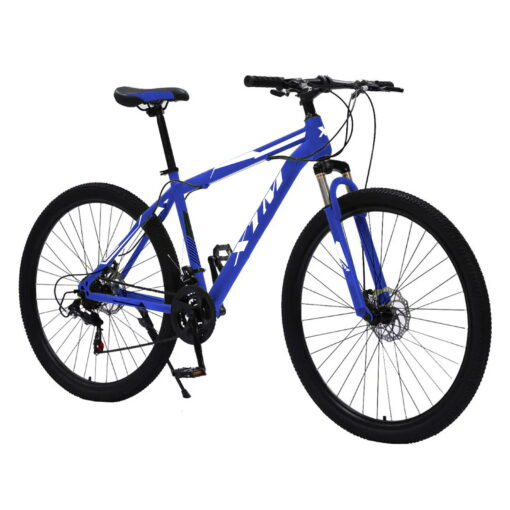 BICICLETA MONTAÑA XTM 1.0 R29