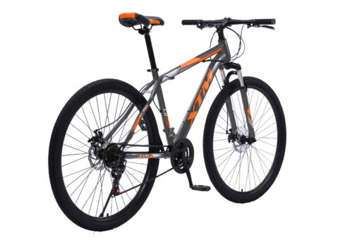 BICICLETA MONTAÑA XTM 1.0 R29