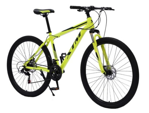 BICICLETA MONTAÑA XTM 1.0 R29